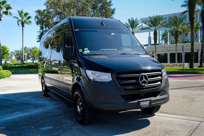 14 Passengers Van private Transfer to/From Port Canaveral One Way - A Closer Look at the Customer Reviews