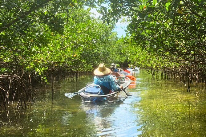 3-Hour Clear Kayak Beach Hopping Adventure in Sarasota - The Itinerary
