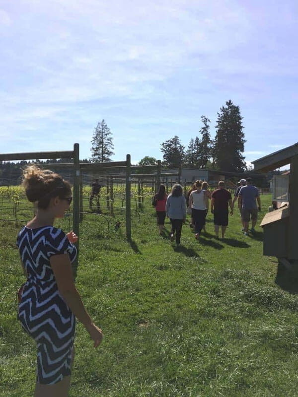 6-Hour Victoria to Cowichan Wine Tour - The Itinerary Breakdown: What to Expect on the Day