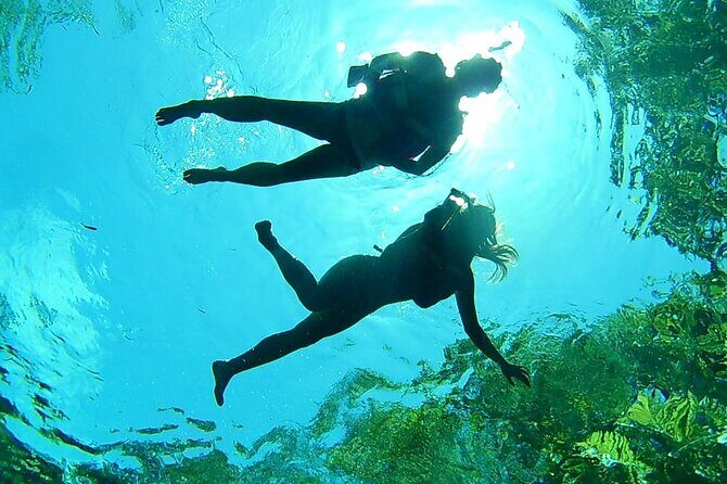 Cenotes Private Tour VIP - Authentic Reviews and Insights