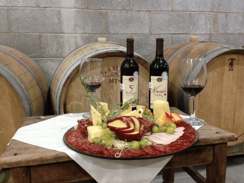 Chihuahua: Romantic Wine Tasting Experience - Final Thoughts