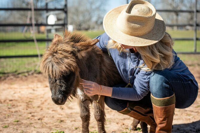 Farm Day Pass General Admission - Who Will Enjoy This Experience Most?