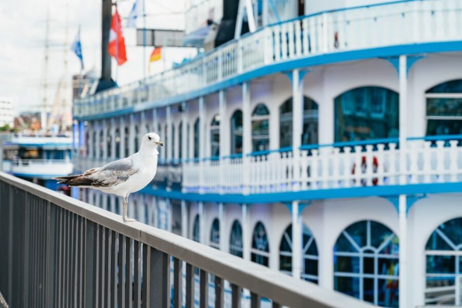 Hamburg: 1-Hour Harbor Sightseeing Cruise with HafenCity - What to Expect During the Cruise
