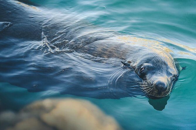 Lands End Experience  Arch, Beaches & Marine Life - The Itinerary In-Depth