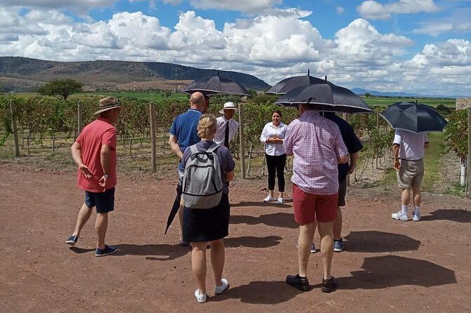 Local Vineyard Tour & Wine Tasting at the Independence Valley - The Vineyard & the Grounds
