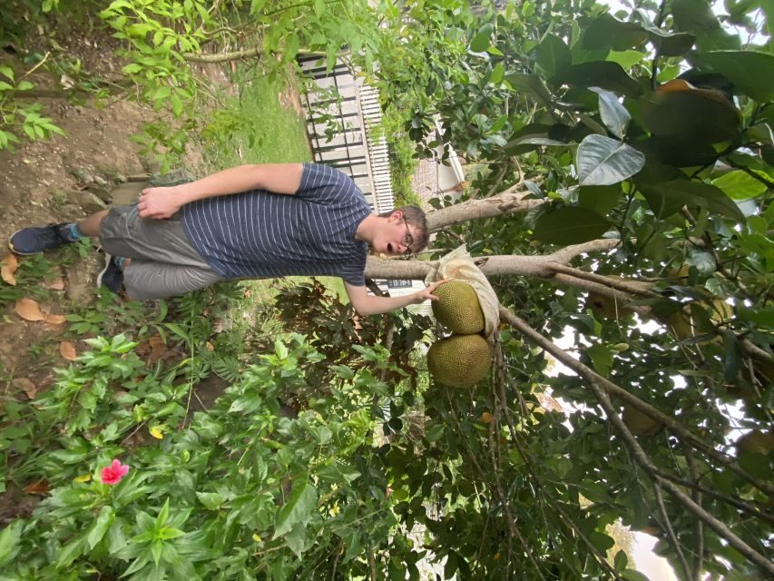 Phuket: Thai Cooking Class with local Market and Garden Tour - Why This Tour Offers Great Value