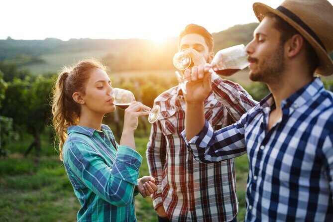 Placer County Wine Tasting Pass - Who Is This Tour Best For?