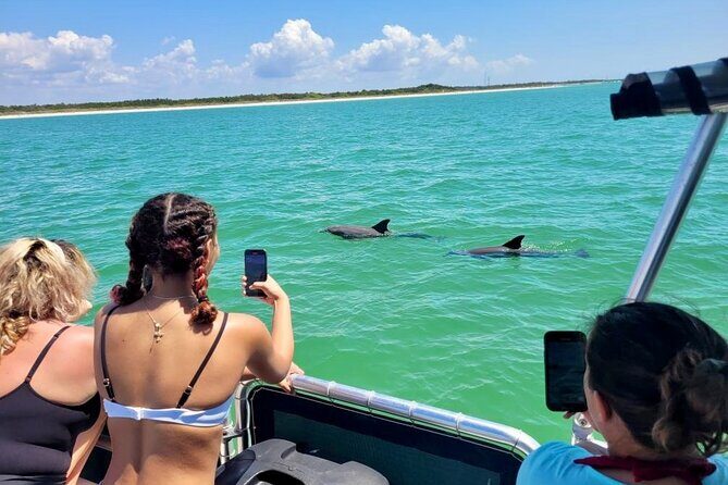 Private 4 Hour Shell Key Island Adventure Dolphins and Shells - The Practicalities