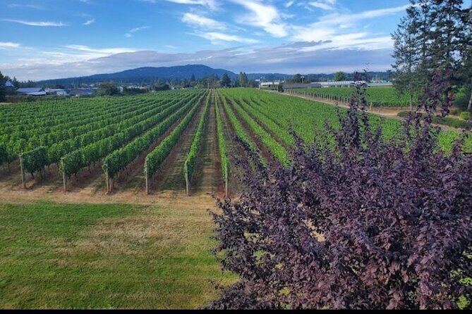 Private Wine Tour at Church and State Wines in Victoria BC Canada - Behind the Scenes: What Makes This Tour Special