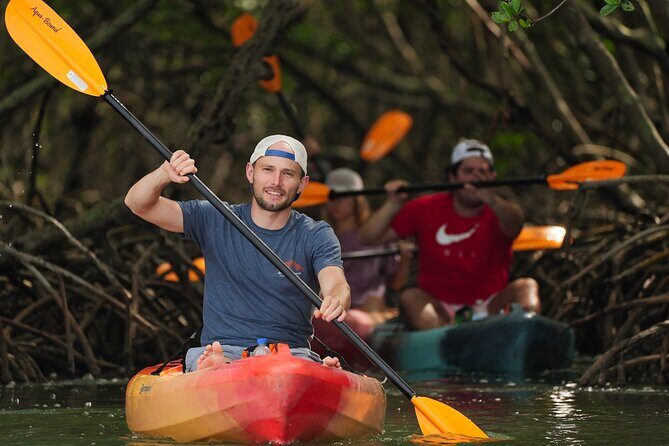 Sarasota Kayak and Food Tour - A Closer Look at the Sarasota Kayak and Food Tour