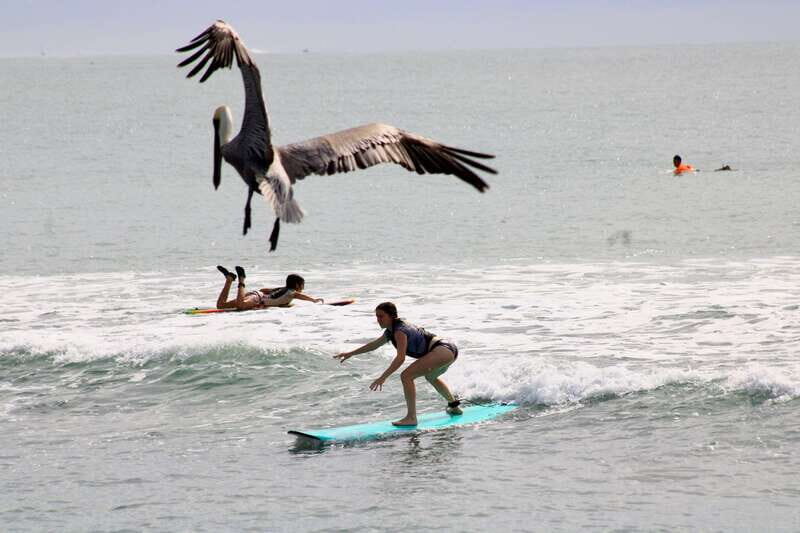 Sayulita: Surf Lessons for Beginner/Intermediate/ Advance