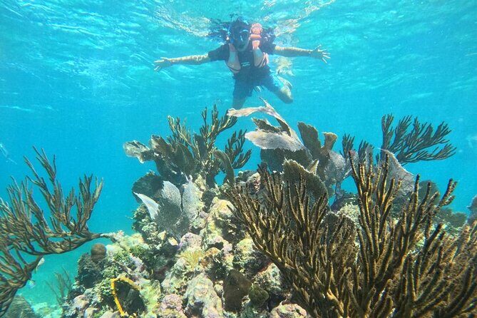 Snorkel Tour on the Costa Maya with experienced Guid - FAQ