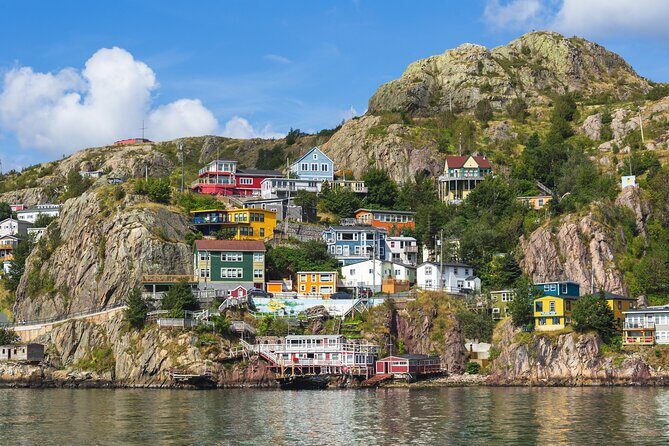 The Best of St. John's Private Walking Tour - The Experience from Customer Feedback