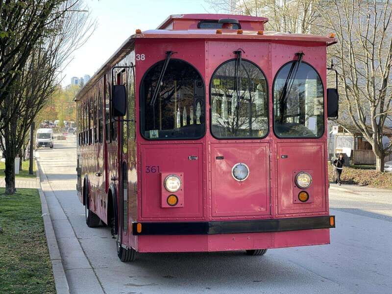 Vancouver: Christmas Lights Karaoke Trolley Tour - Who Should Consider This Tour?