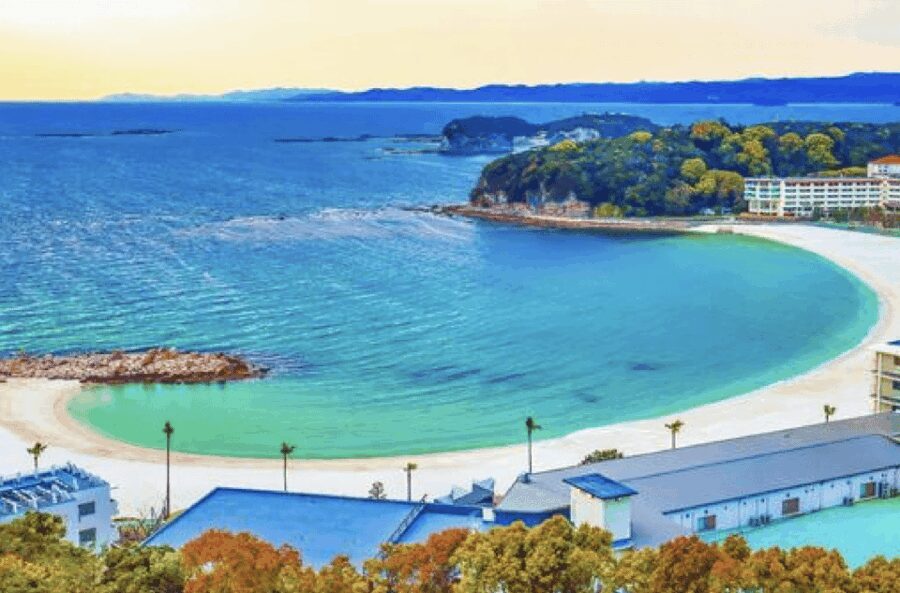 Wakayama: Customizable Private Day Tour - Wakayama Castle: Panoramic Views and Historic Significance